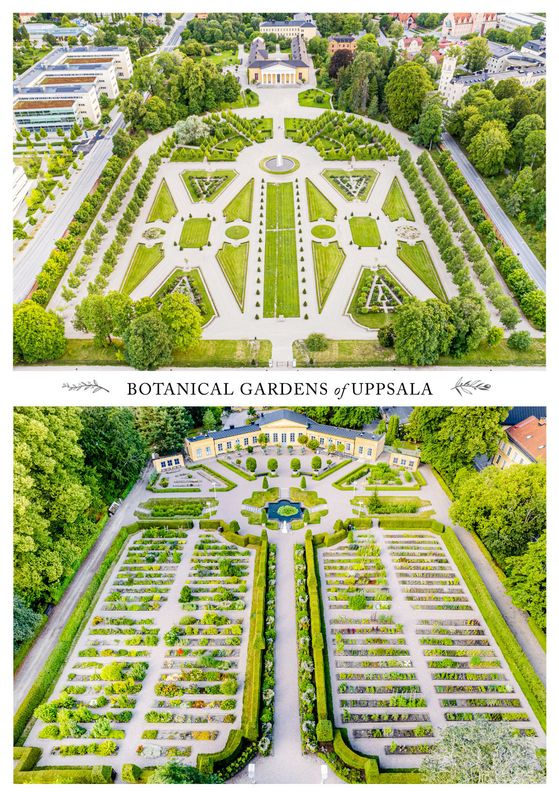 Botanical Gardens of Uppsala