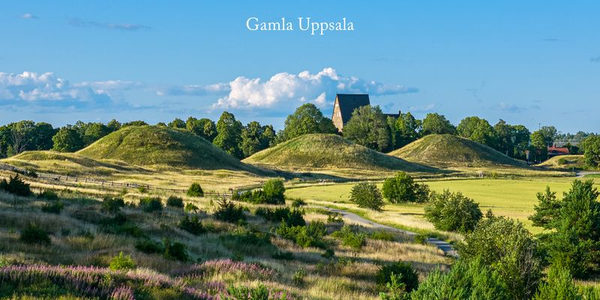 Gamla Uppsala högar