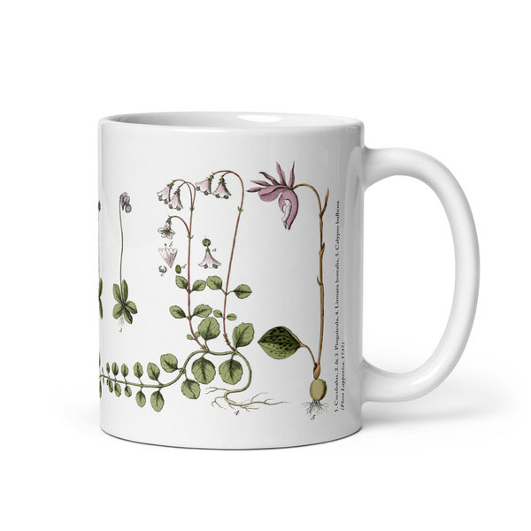 Linnémuggen - additionalView